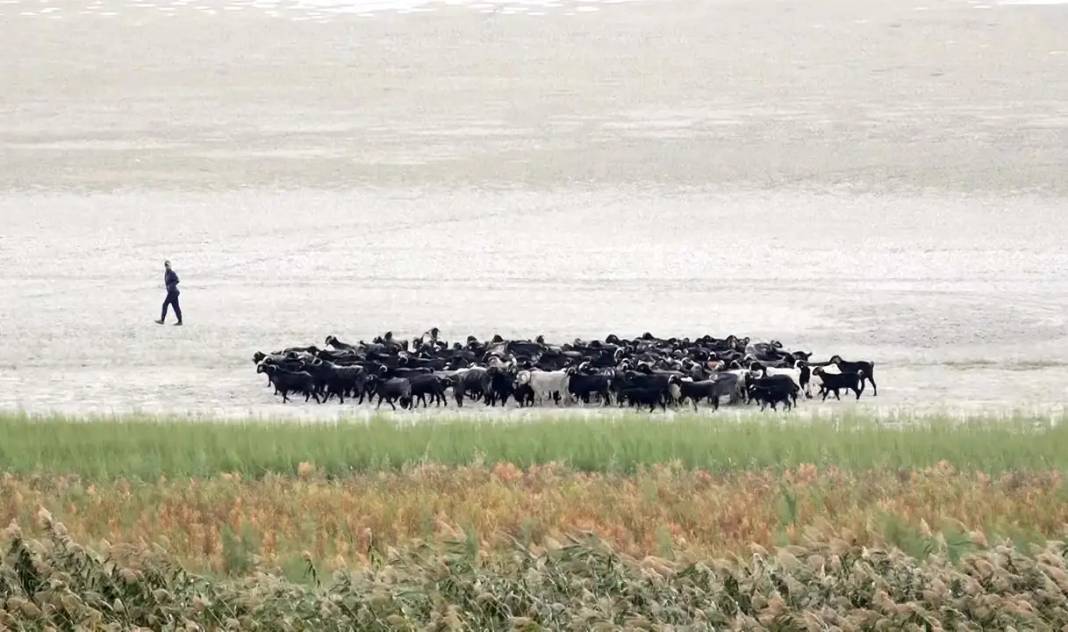 Eğirdir Gölü İkiye Ayrıldı! Doğal Cennet Can Çekişiyor 3